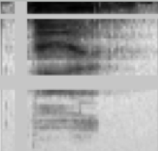 Masked Spectrogram